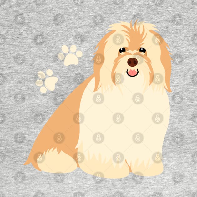 Happy Havanese Dog by LulululuPainting